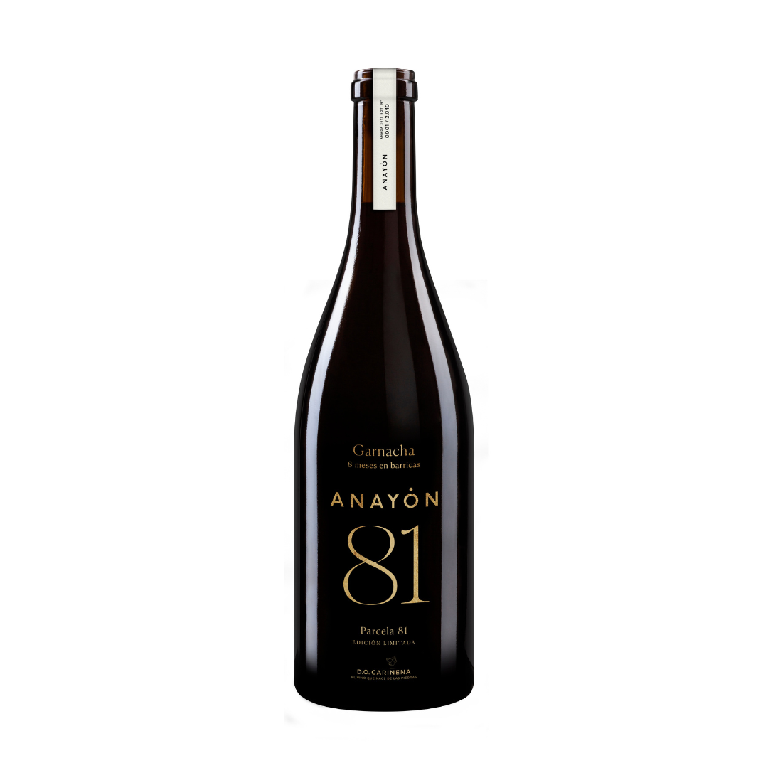 Anayón Parcela 81